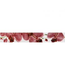Бордюр 400х60 Fiori Орхидея 32шт/уп (Киров) арт.267081